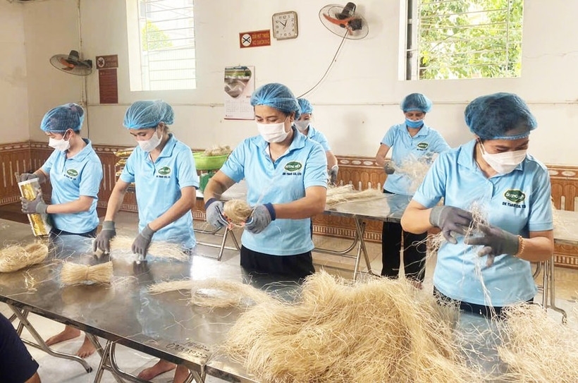 Vietnam’s OCOP brands go global with e-commerce push